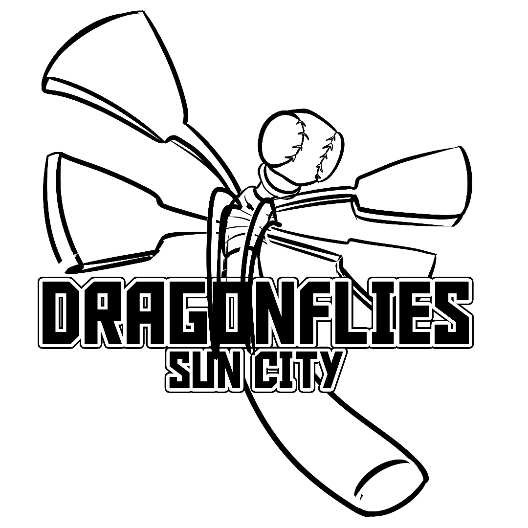 Dragonflies's Team photo
